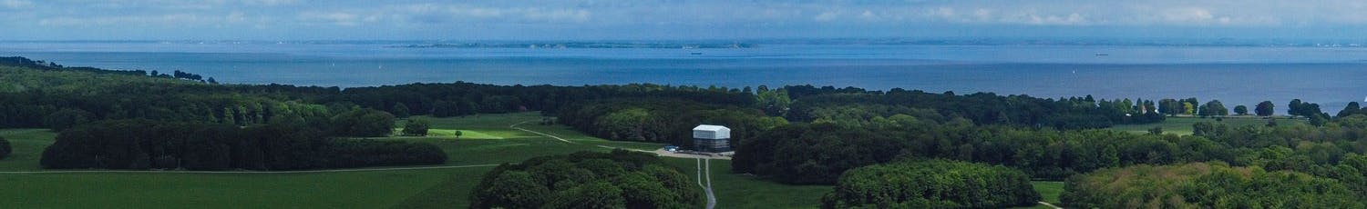 Skogsbilde fra drone Tenk på linjer og symmetri i bildene dine når du fotograferer med drone.